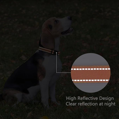 Reflective Dog Collar Padded - Image 5