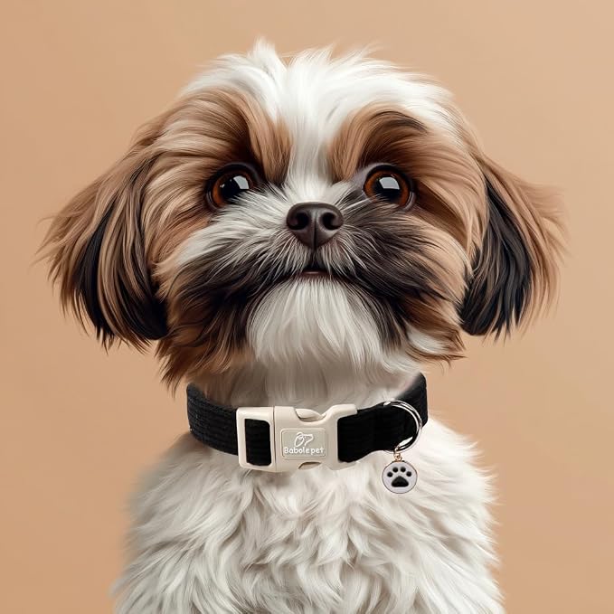 Cute Corduroy Dog Collar - Image 5