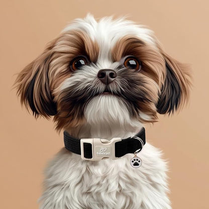 Cute Corduroy Dog Collar - Image 5