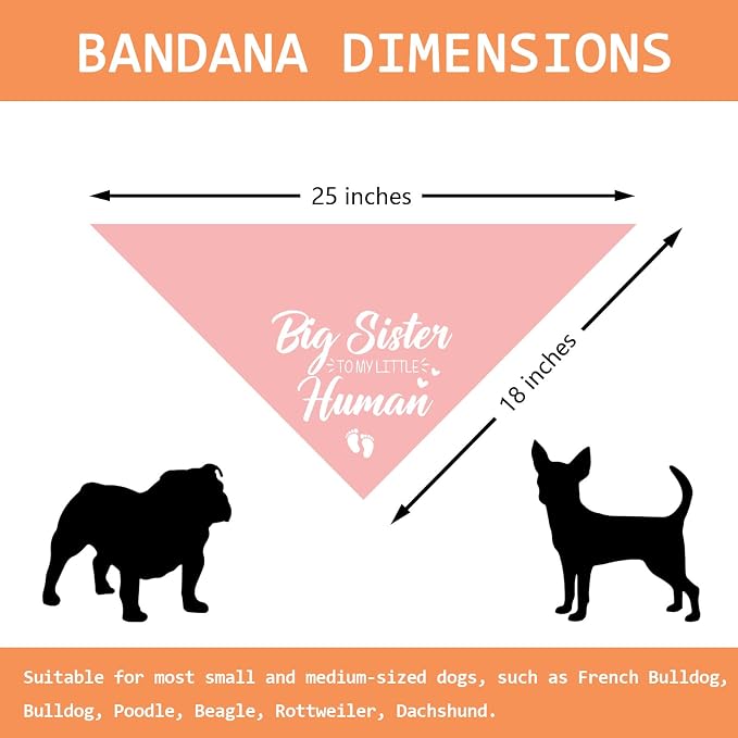 Baby Announcement Dog Bandana Big Sister to My Little Human Gender Reveal - Image 2
