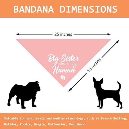 Baby Announcement Dog Bandana Big Sister to My Little Human Gender Reveal - Image 2