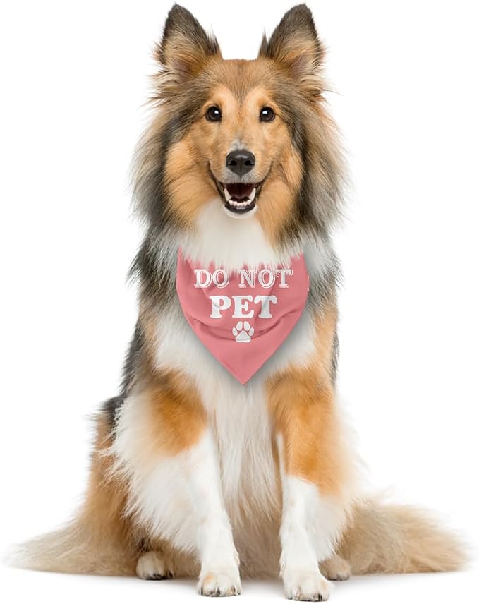 E61 Dog Triangle Scarf - Image 3