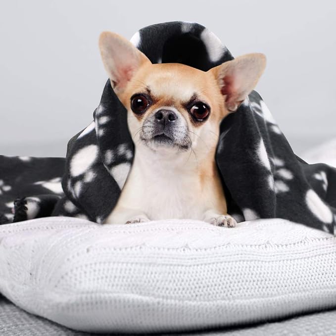 Comsmart Dog Blankets for Small Dogs, 6 Pack Puppy Blanket Cute Paw Print Pet - Image 4