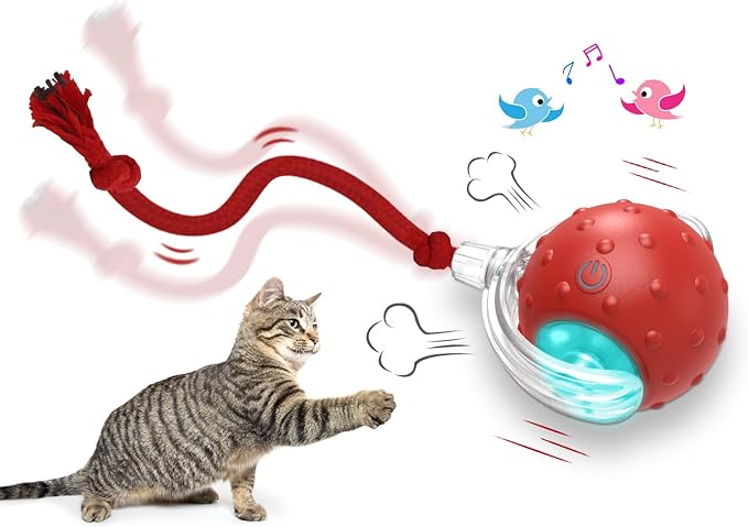 Interactive Cat Toys Ball for Indoor Cats Fast Rolling on Carpet, Chirping & by Giociv