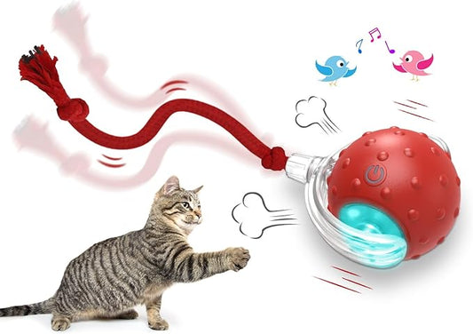 Interactive Cat Toys Ball for Indoor Cats Fast Rolling on Carpet, Chirping & by Giociv