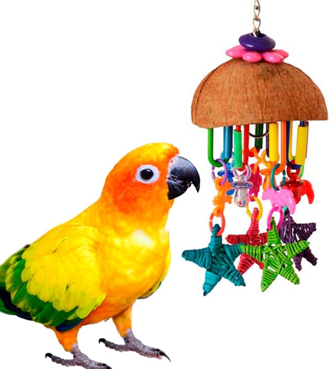 Super Bird Creations SB896 Seeing Stars Bird Toy by SuperBirdCreations
