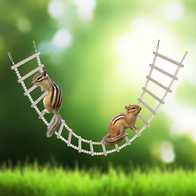 Bird Ladder Bridge, Wooden Pet Hamster Climbing & Swing Toys, Cage Accessories - Image 2