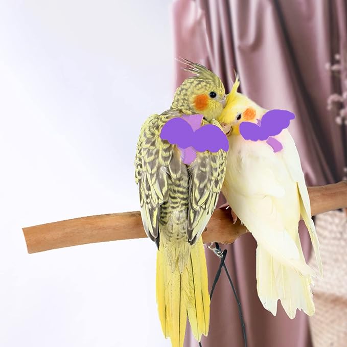 Dnoifne Pet Parrot Bird Harness and Leash, Adjustable Training Design Anti-Bite - Image 3