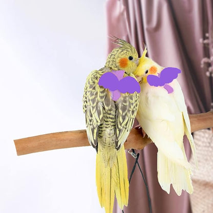Dnoifne Pet Parrot Bird Harness and Leash, Adjustable Training Design Anti-Bite - Image 3