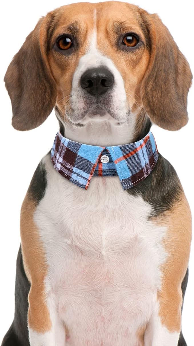 Faleela Cotton Plaid Shirt Style Dog Collar Soft Cute, Boy Dog Collar - Image 3