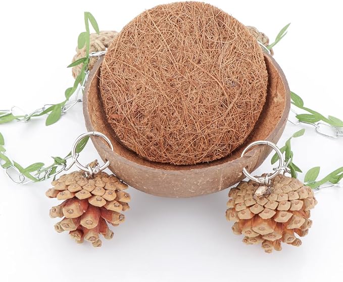Bird Natural Coconut Nest Sugar Glider Hanging Swing Toy - Image 5