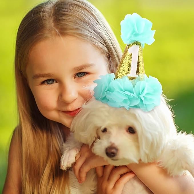 Stock Show 1st Pet Birthday Cone Hat Dogs Cats Holiday Party Hat Headwear - Image 3