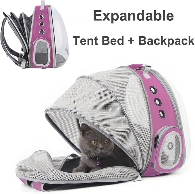 Expandable Pink Cat Backpack Carrier, Fit up to 12 lbs, Space Capsule Clear - Image 3