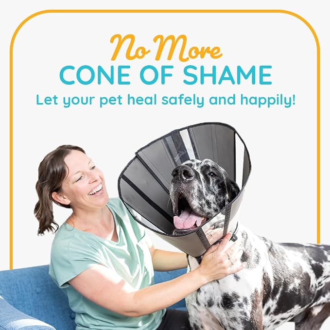 ZenPet Recovery Cone E-Collar for Dogs & Cats – Soft, Comfortable, Safe & - Image 2