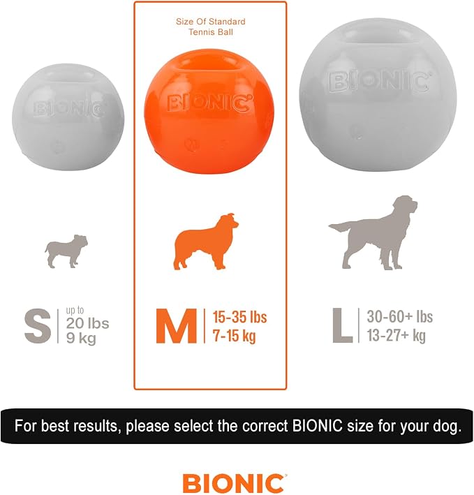 BIONIC Ball Dog Toy, Medium - Image 2