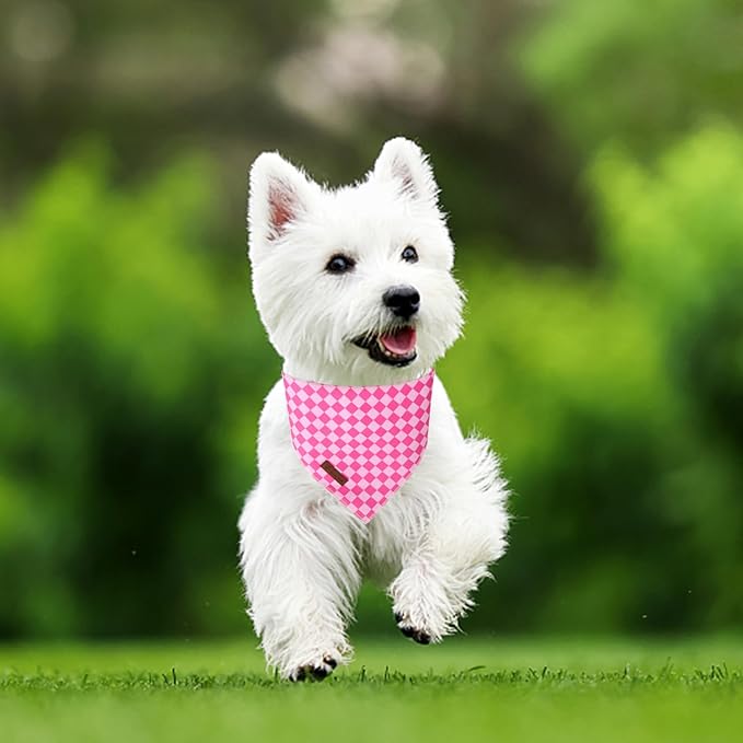 Summer Dog Bandana, UP URARA PUP Pink Bandana - Image 5