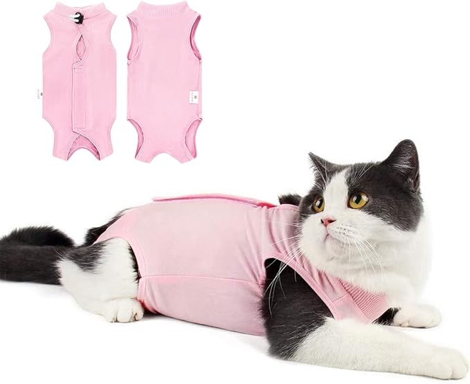 Cat Recovery Suit for Abdominal Wounds or Skin Diseases, Cat Onesie for Cats by Coppthinktu