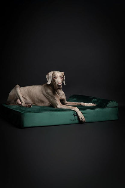 NOAH & PAW XL Dog Bed, Orthopedic Large Dog Beds, Eggshell Memory Foam Infused - Image 7