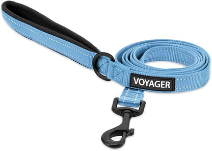 Best Pet Supplies Voyager Reflective Dog Leash or Collar by BestPetSuppliesLLC
