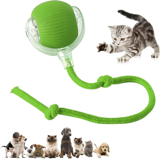 Chewie Viral 360 Smart Automatic Rolling Pet Ball by Unknown