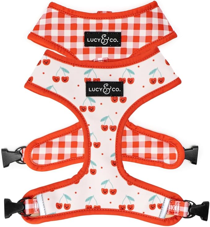 Lucy & Co. Cheery Cherries, Cute Reversible Dog Harness Walking Halter by LucyCo