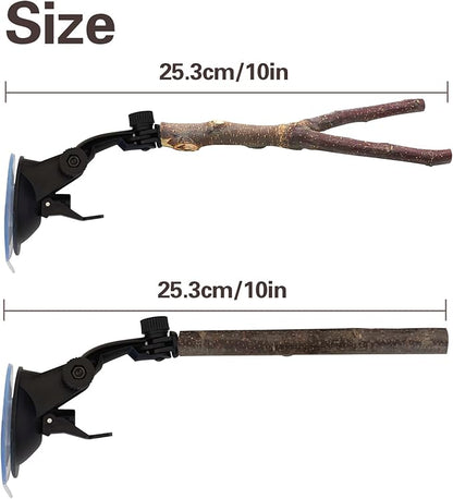 Natural Wood Bird Perch Stand - Image 2