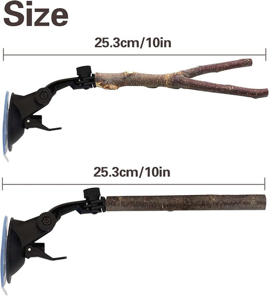 Natural Wood Bird Perch Stand - Image 2