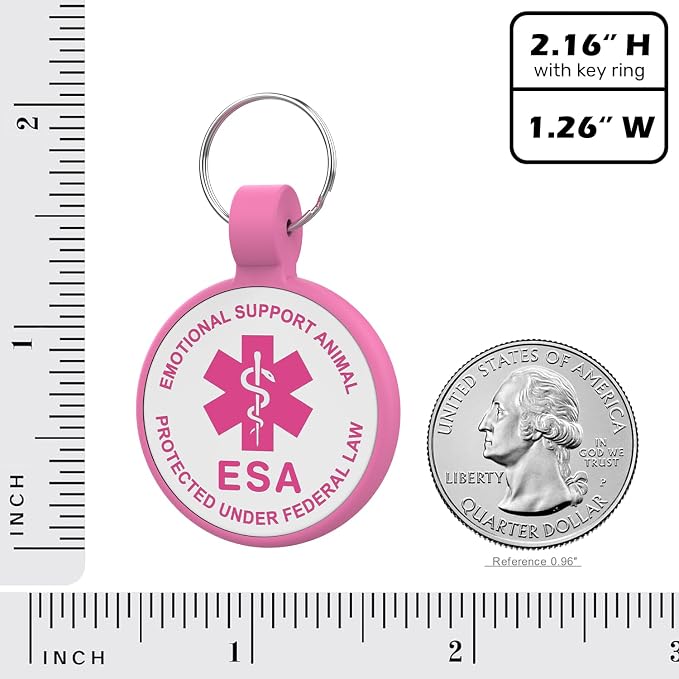 QR Code Dog Tag, QR Code Pet ID Tag, Dog ID Tag, Small Cat - Image 4