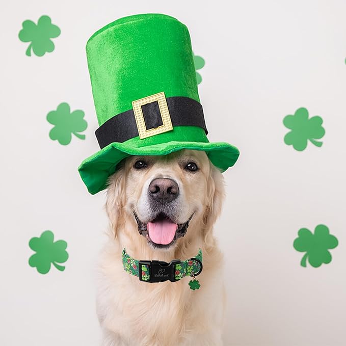 St Patricks Day Dog Collar for Small Dogs - Image 4