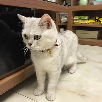 PetSoKoo Cute Bowtie Cat Collar - Image 6