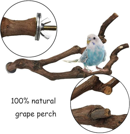 kathson Natural Parrot Perch Bird Stand Pole Wild Grape Stick Paw Grinding Fork - Image 3