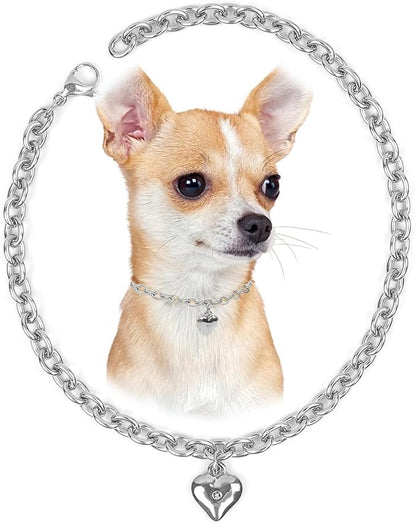 HOWWFALY Dog Collar and Cat Chain Necklace Stainless Steel Adjustable 18K by HOWWFALY