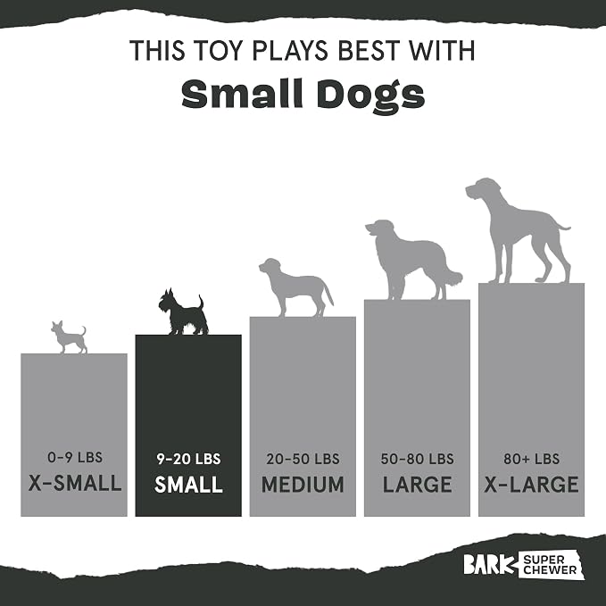 Barkbox Super Chewer Tough Dog Chew Toys - Image 6