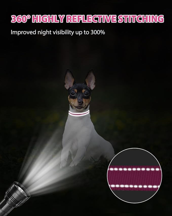 Joytale Small Dog Collar, Reflective and Adjustable Nylon Collar - Image 5