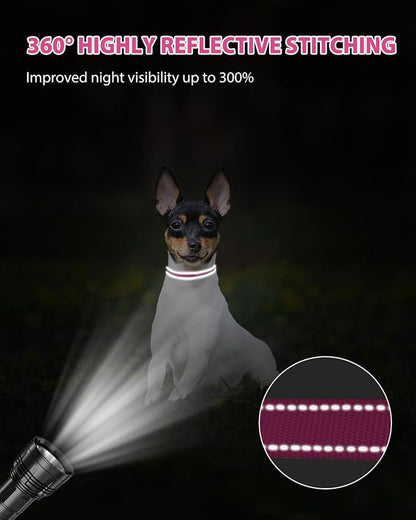 Joytale Small Dog Collar, Reflective and Adjustable Nylon Collar - Image 5