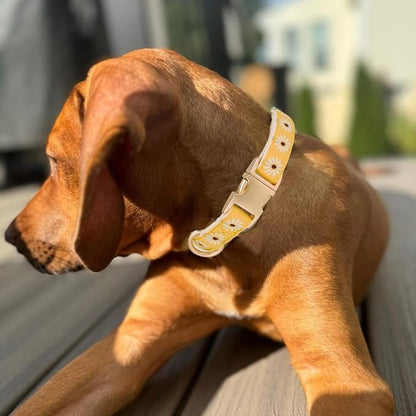 Woven Dog Collar with Metal Buckle Adjustable Jacquard Retro Dog Collars - Image 4