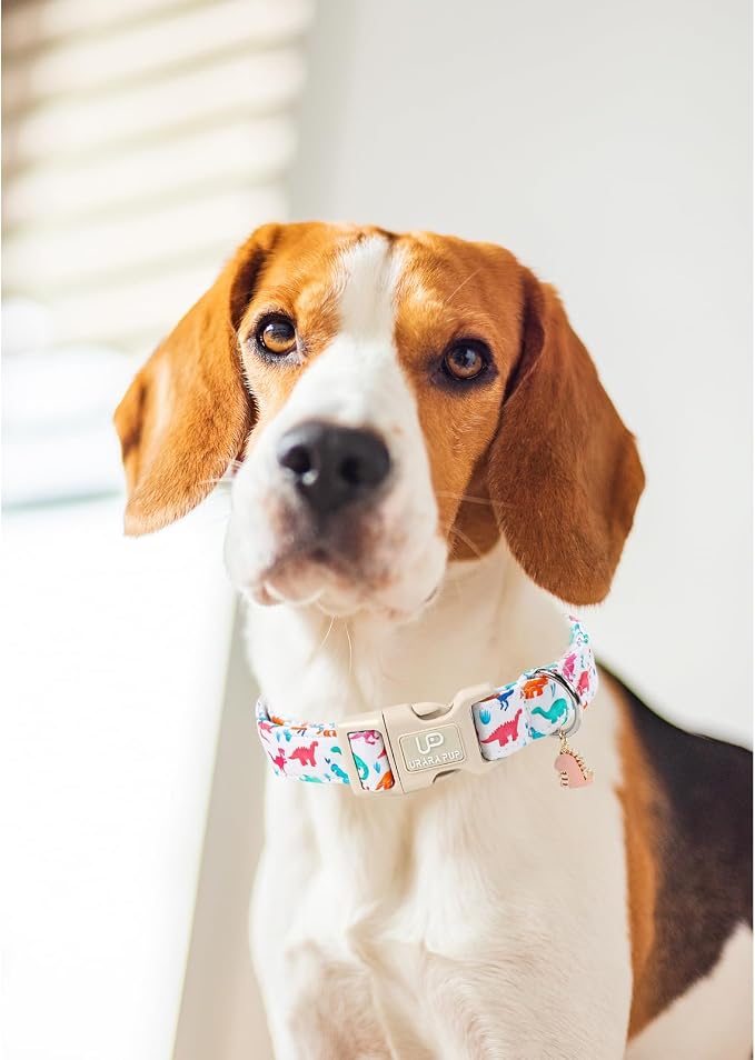 Summer Dog Collar, Adorable Dinosaur Cotton Dog Collar - Image 6