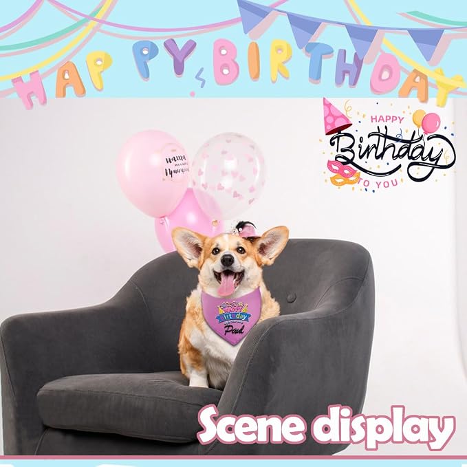 Personalized Dog Birthday Bandana, Happy Birthday Scarf - Image 7