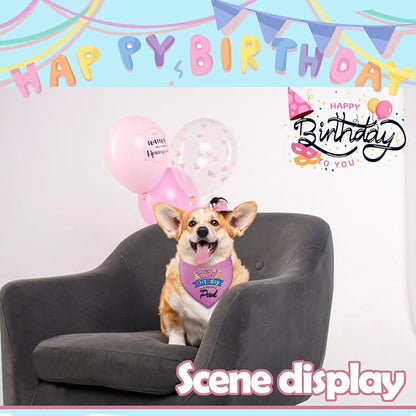 Personalized Dog Birthday Bandana, Happy Birthday Scarf - Image 7
