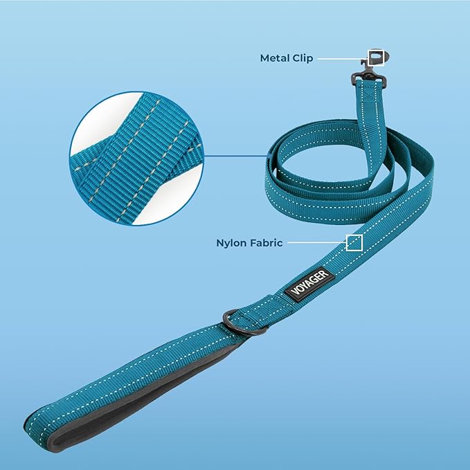 Best Pet Supplies Voyager Reflective Dog Leash or Collar - Image 2