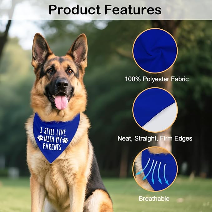I Still Live with My Parents Blue Dog Bandana, Humor Gifts - Image 3