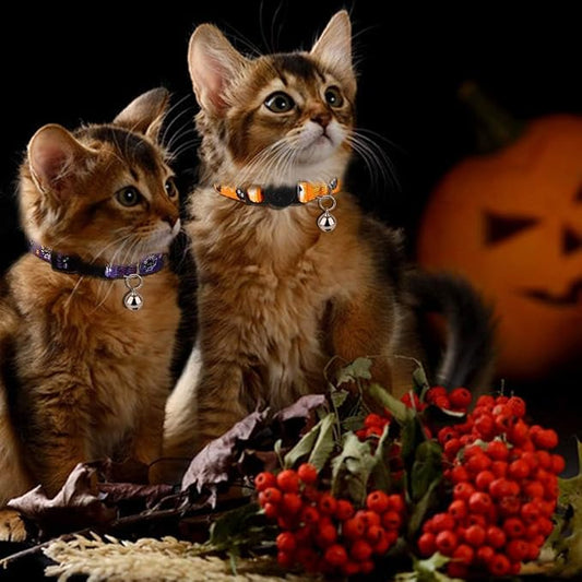 azuza 4 Pack Halloween Kitten Collars Breakaway - Image 2