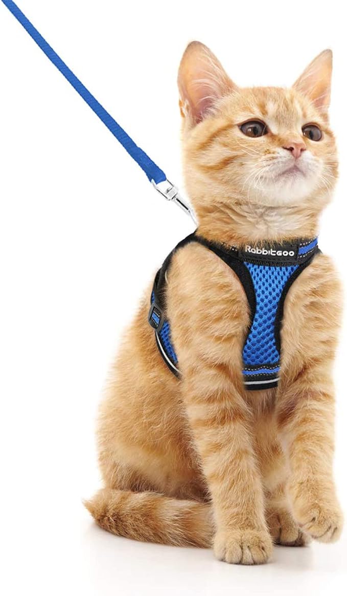 rabbitgoo Cat Harness and Leash Set by rabbitgoo