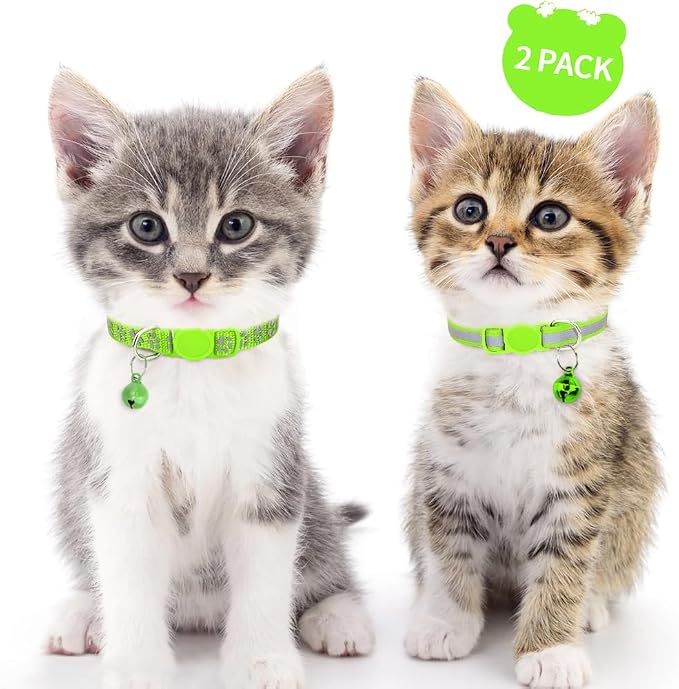 Taglory Kitten Collar Breakaway - Image 2