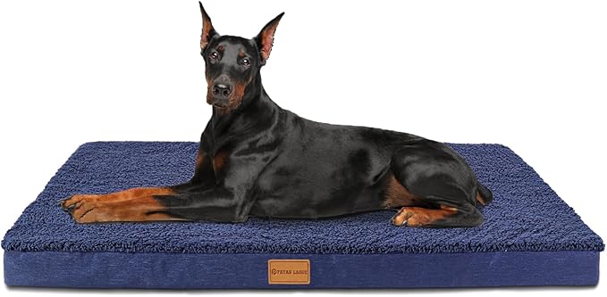 Patas Lague Orthopedic Jumbo Dog Bed by PatasLague