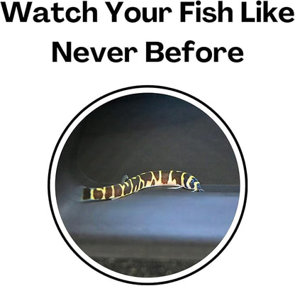 Aquarium Underground Tunnel Cave Natural Curve Two Hole | Viewing Fish & Shrimp - Image 6