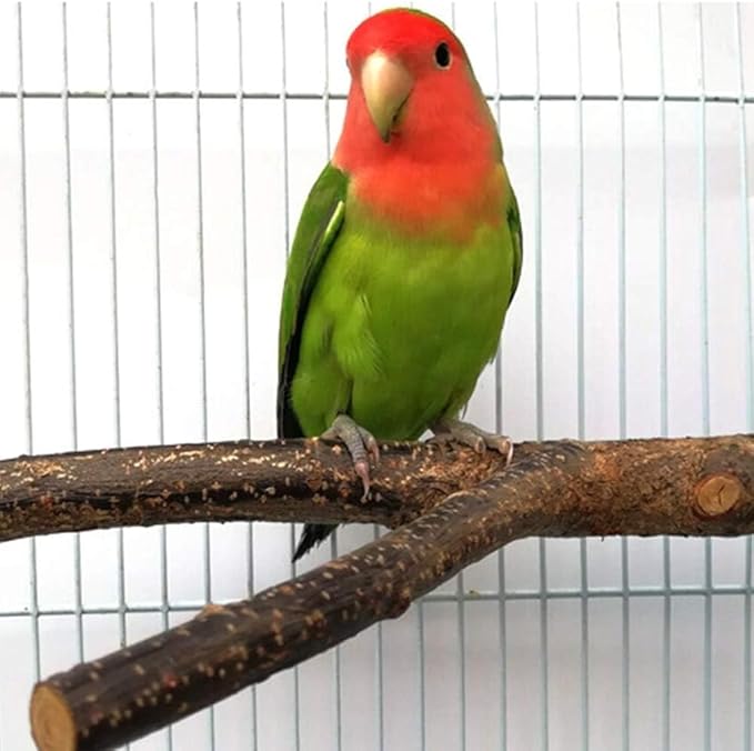 BILLIOTEAM 4 Pack Natural Wood Bird Perch Parrot Stand Branches Fork Toys - Image 5