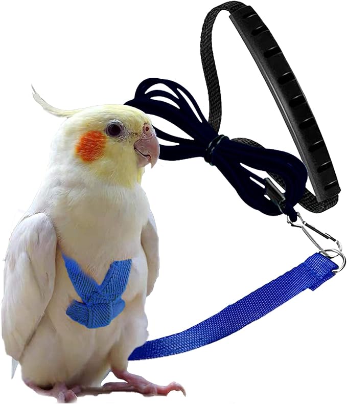 Dnoifne Parrot Harness and Leash, Adjustable Training Design Anti-Bite by Dnoifne