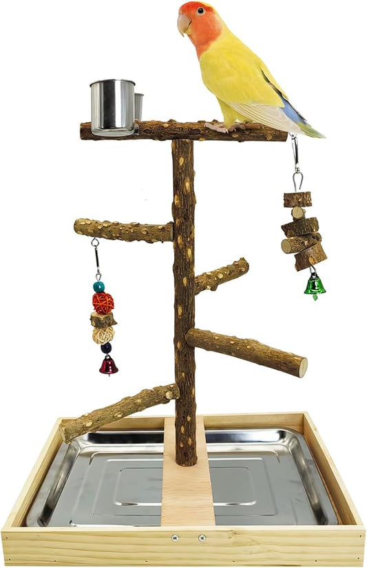 Tfwadmx Bird Perch Natural Wood Stand Parakeet Playground Toy Parrot Play Stand by Tfwadmx