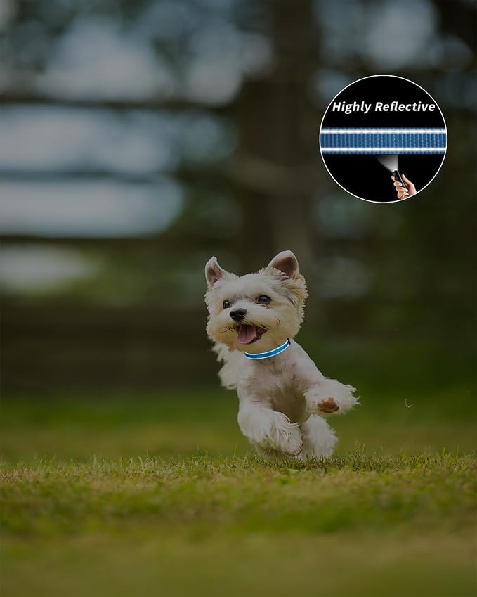 TagME Dog Collars for Small Dogs, Reflective Nylon Pet Collar - Image 5
